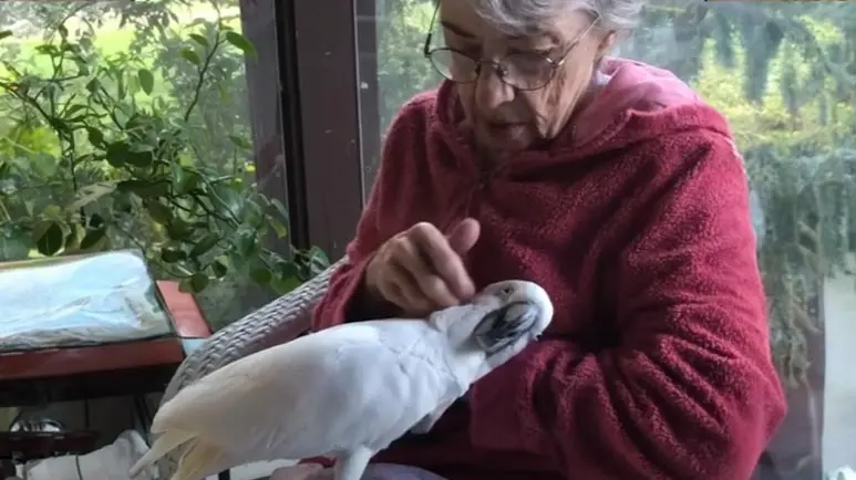 chris unbreakable bond with grandma