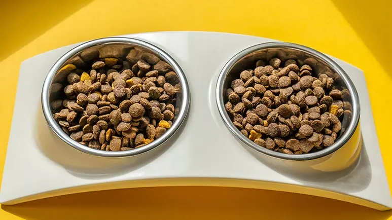 pulse crop pet food