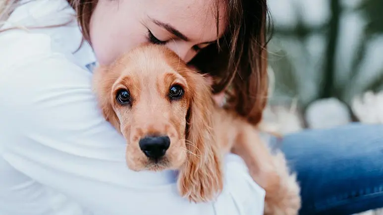 does hugging dogs give them anxiety