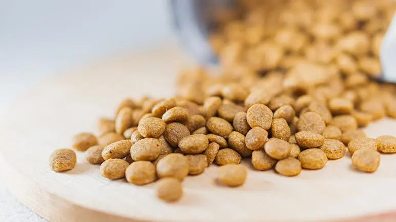 high protein pet food