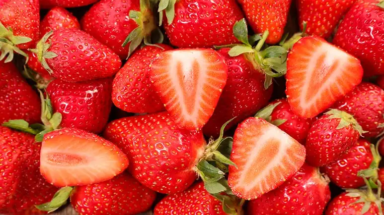 can you feed strawberries to your pets