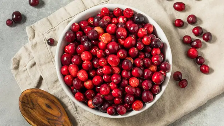 can you feed cranberries to your pets