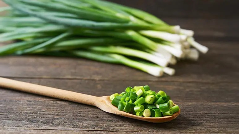 can you feed chives to your pet