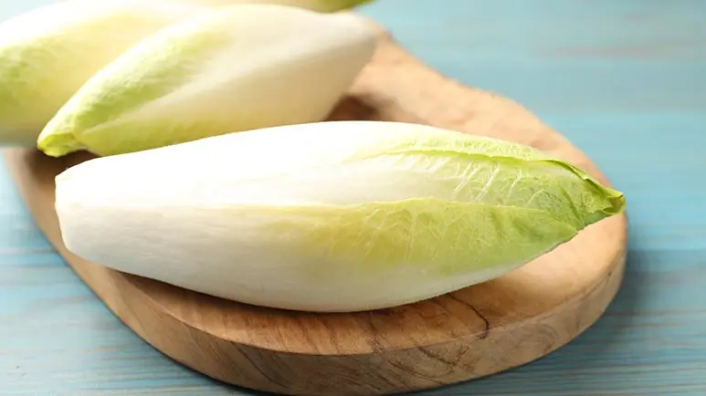 can you feed endive to your pet