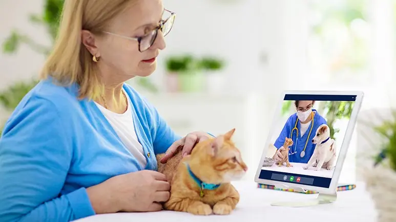 veterinary telemedicine