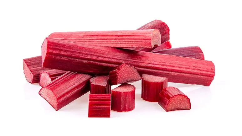 can you feed rhubarb to your pets