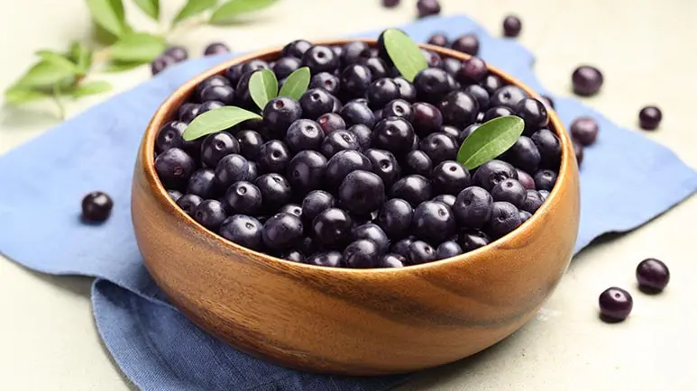 can you feed acai berry to your pets