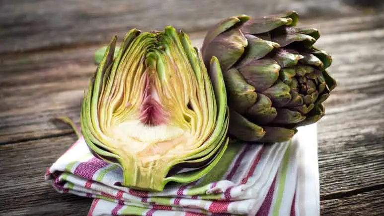 can you feed artichoke to your pet