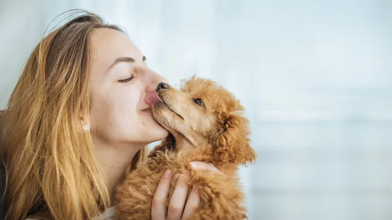 dogs sense human emotions