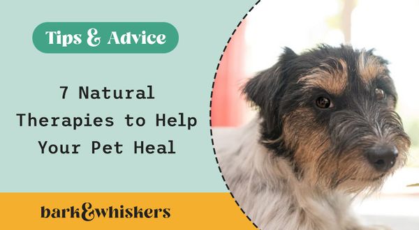 7 home remedies for pets