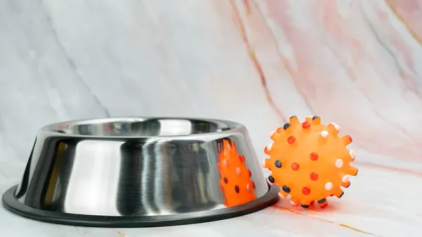 pet food and water bowls