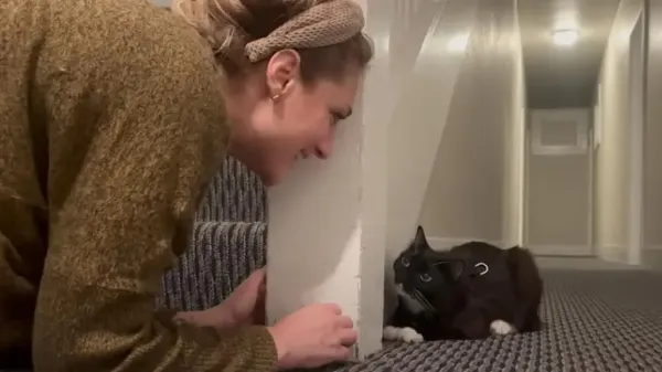 rescue cat is the most unique soul ive ever met