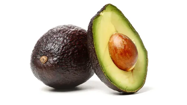 are avocados good for your pets