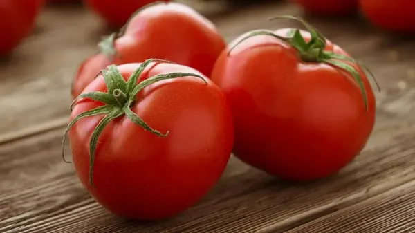 are tomatoes good for pets