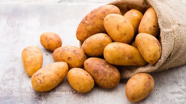 can you feed russet potato to your pets