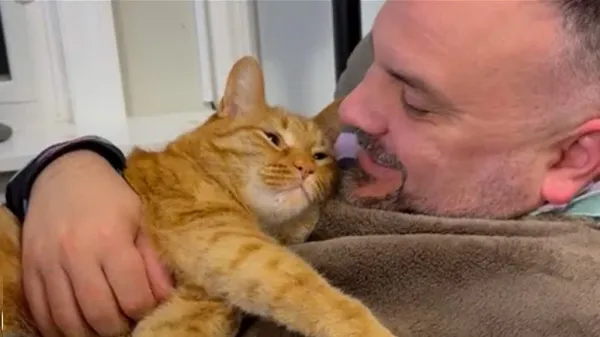 cheddar the velcro cat who loves deeply