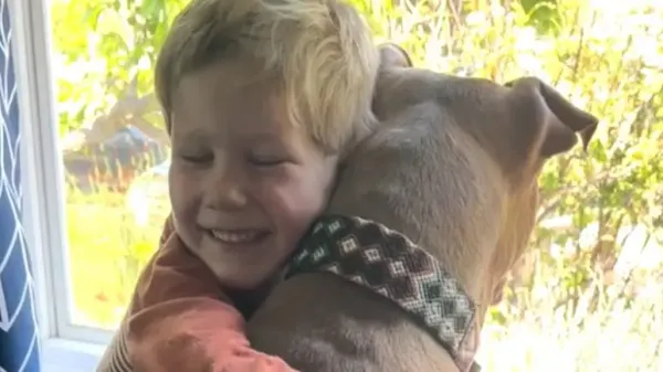 magical bond boy and his dog