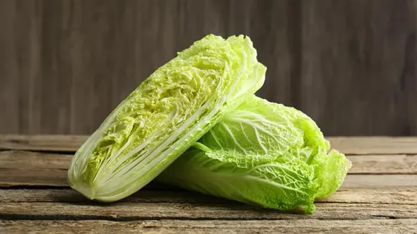 can you feed romaine lettuce to your pets