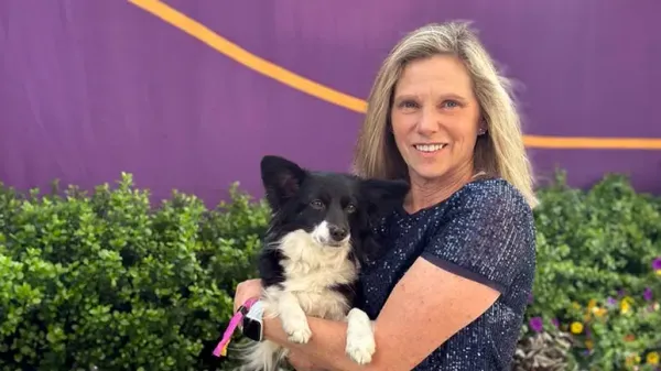 border collie wins agility competition