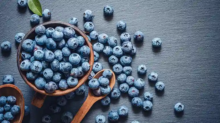 can you feed blueberries to your pets