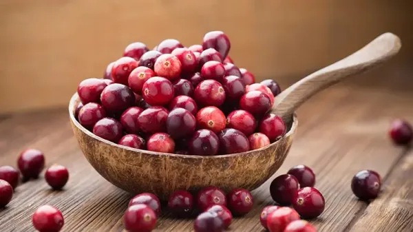 can you feed cranberries to your pets