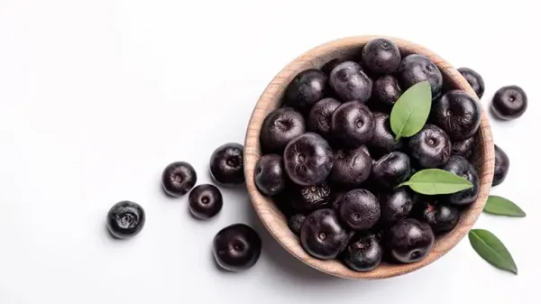 can you feed acai berry to your pets