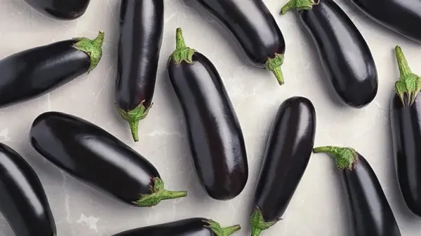 can you feed eggplant to your pet