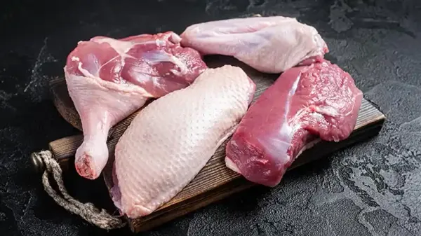 can you feed duck meat to your pet