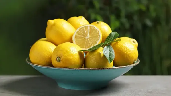 can you feed lemons to your pet