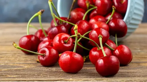 can you feed sweet cherries to your pet