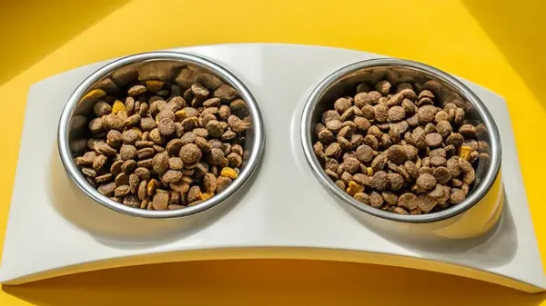 pulse crop pet food