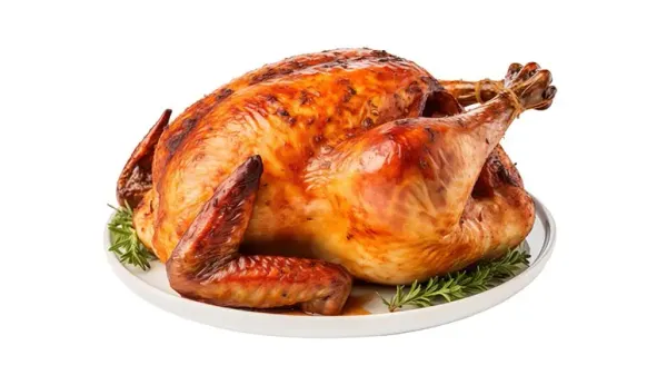 can your pets eat turkey