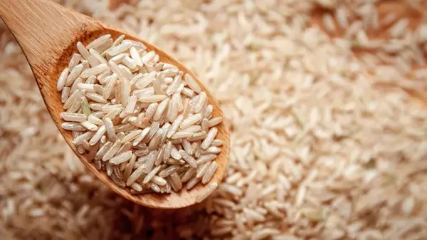 can you feed brown rice to your pets