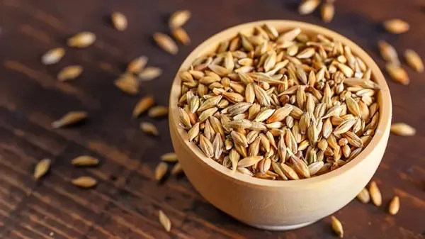 can you feed barley to your pets