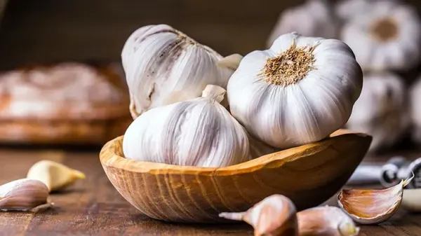 can you feed garlic to your pets