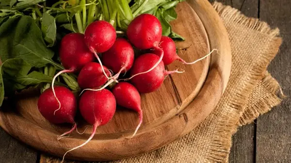 can you feed radish to your pets