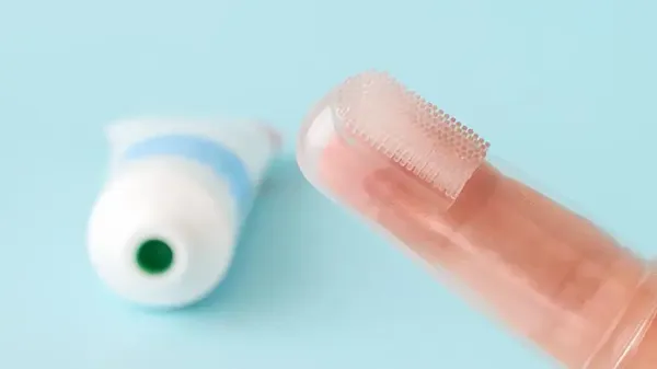 cleaning pets teeth