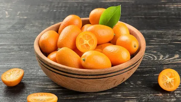 can you feed kumquats to your pets