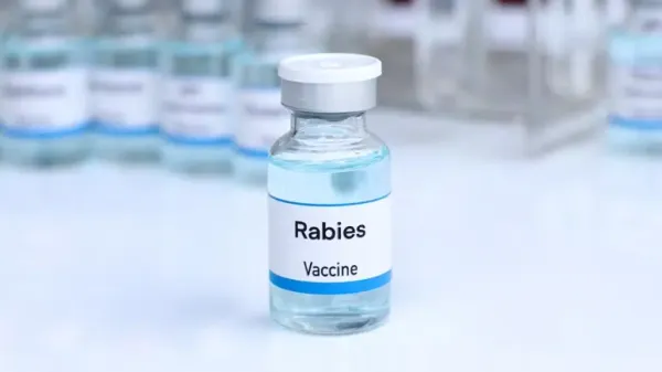 dogs and cats rabies vaccination