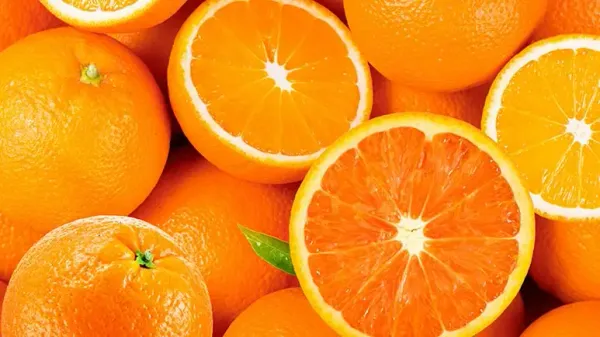 can you feed your pets oranges