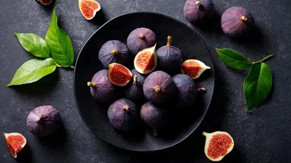 can you feed figs to your pets