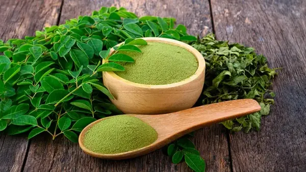 can you feed moringa to your pet