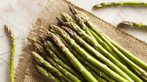 can you feed asparagus to your pets