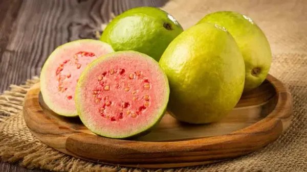 can you feed guava to your pets