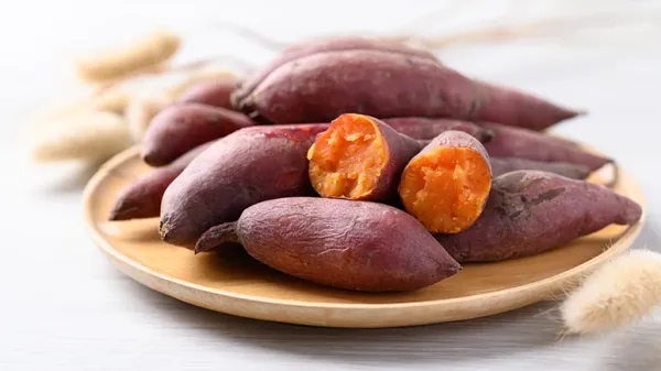 can you feed sweet potatoes to your pets