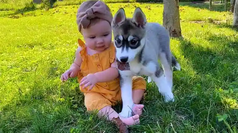 hazel and her furry best friend