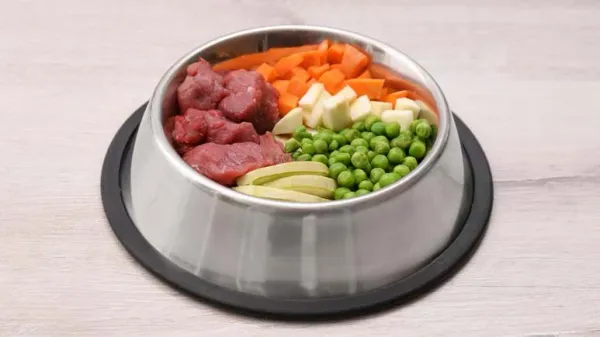 pet raw food diet