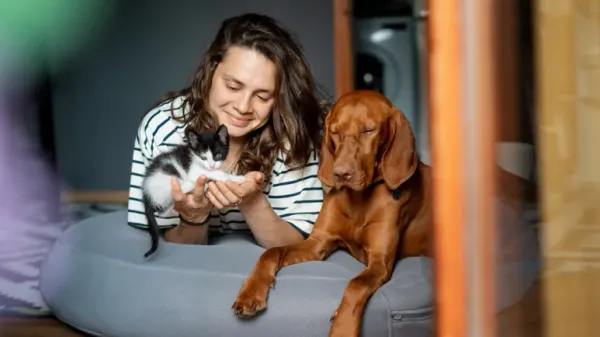 animal emergencies