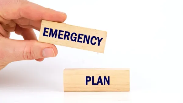 common causes of choking in pets