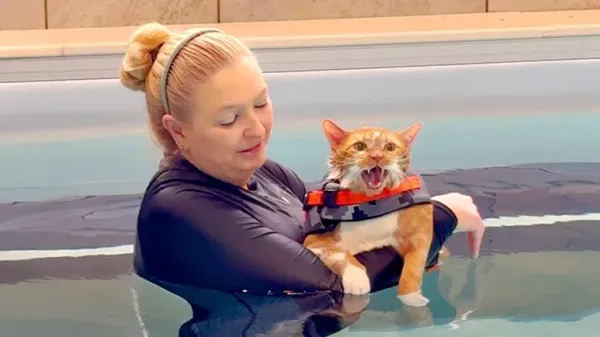 tys big transformation